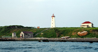 falkner island tour